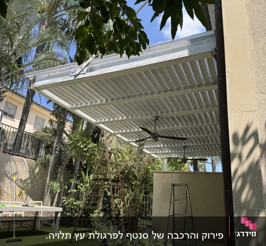 גינה עם פרגולה, סולם וצמחים